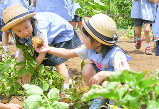 小松川めぐみ幼稚園