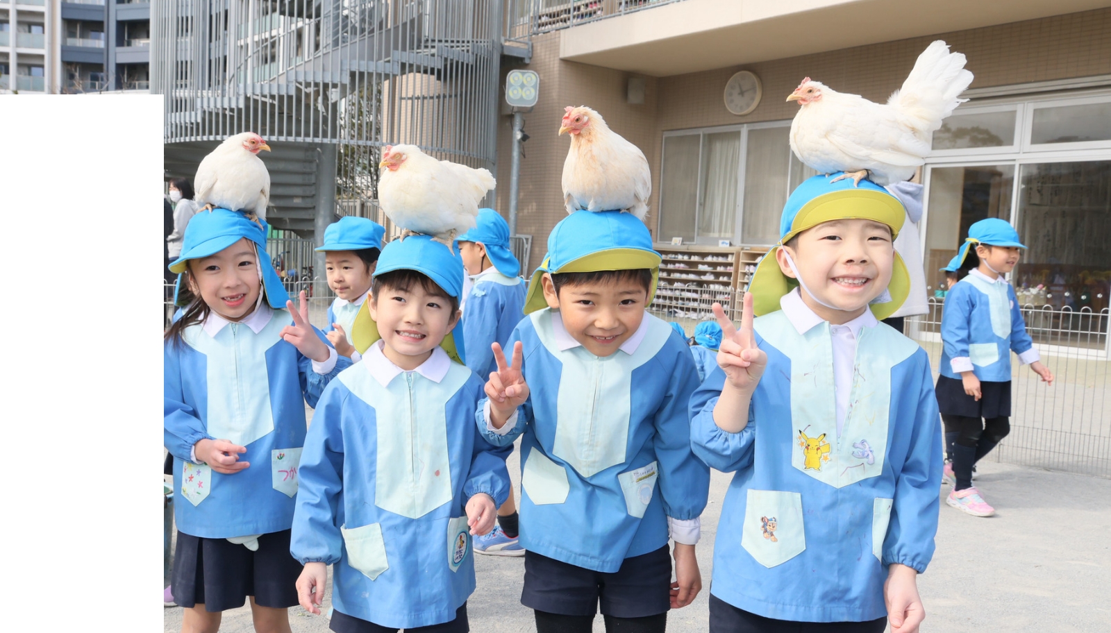 学校法人亀井学園豊洲めぐみこども園